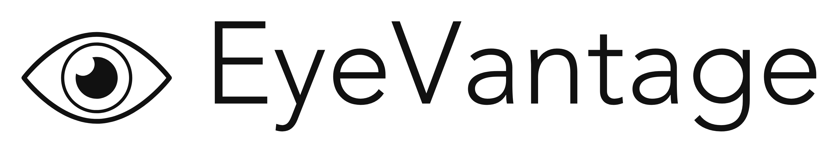 VFLI Logo